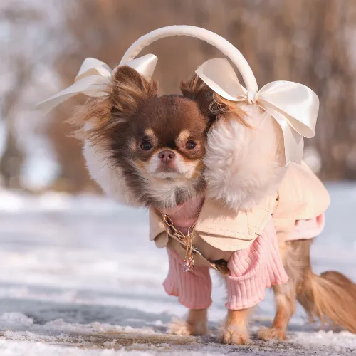 Beige Trench Coat