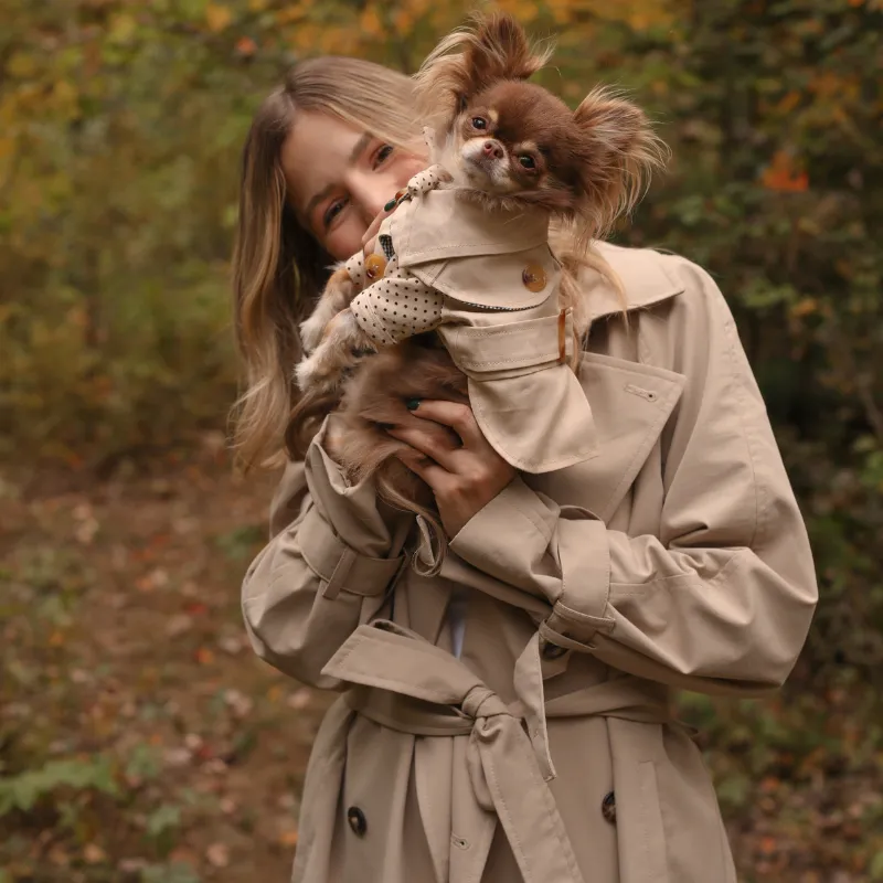 Beige Trench Coat