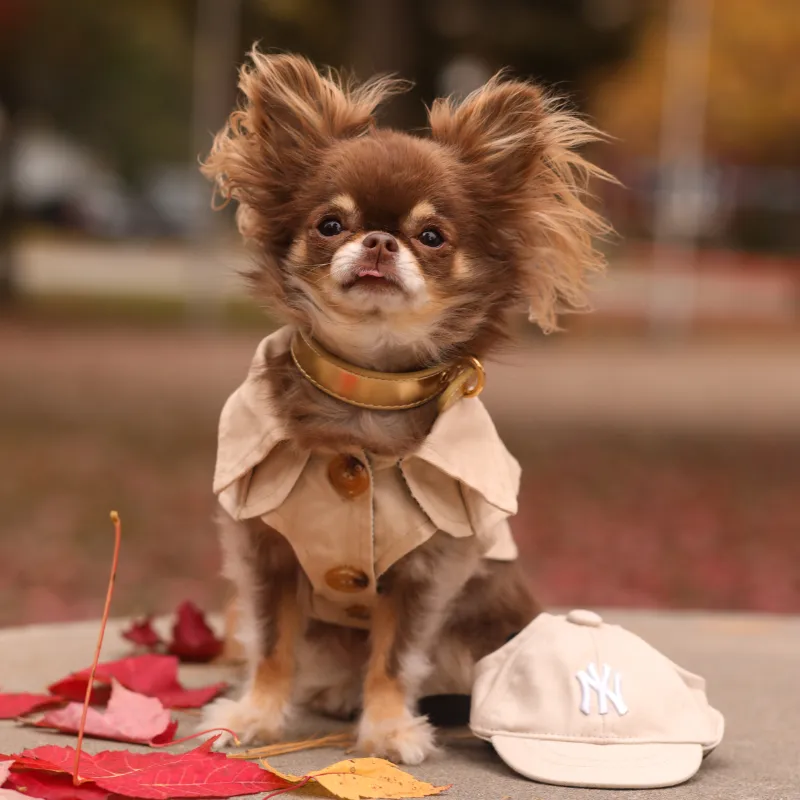 Beige Trench Coat