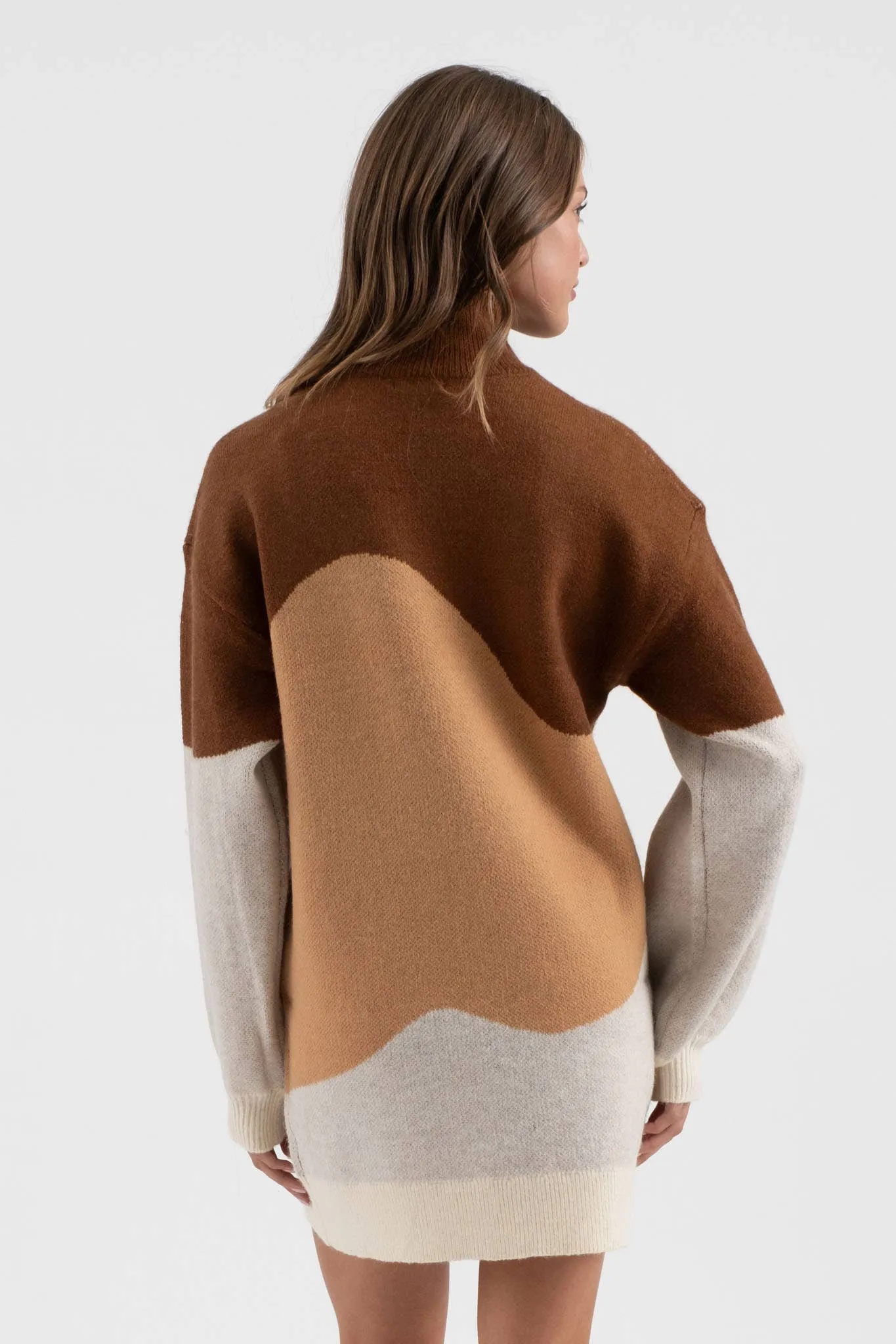 Blu Pepper Colorblock Sweater Dress