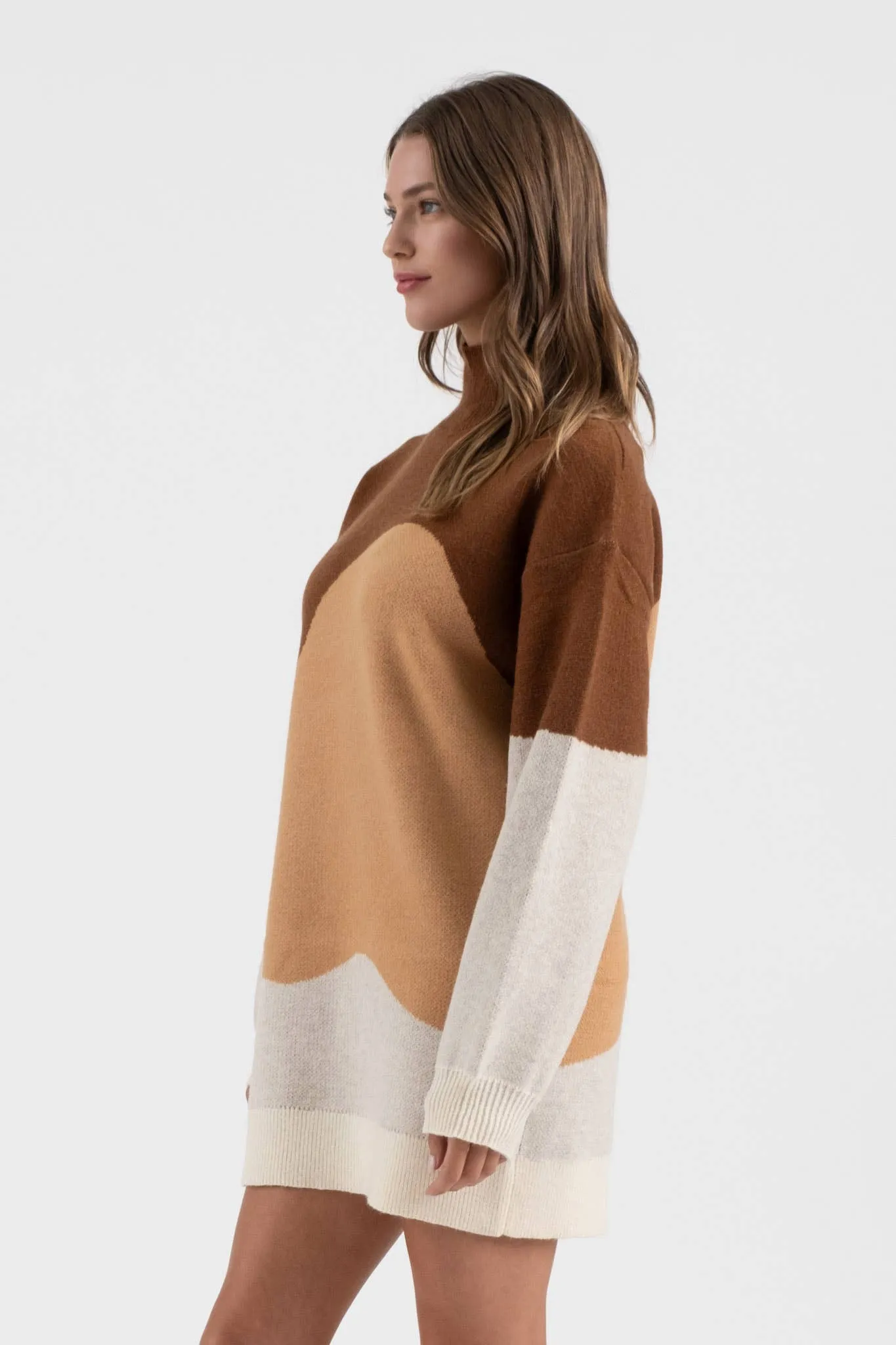 Blu Pepper Colorblock Sweater Dress