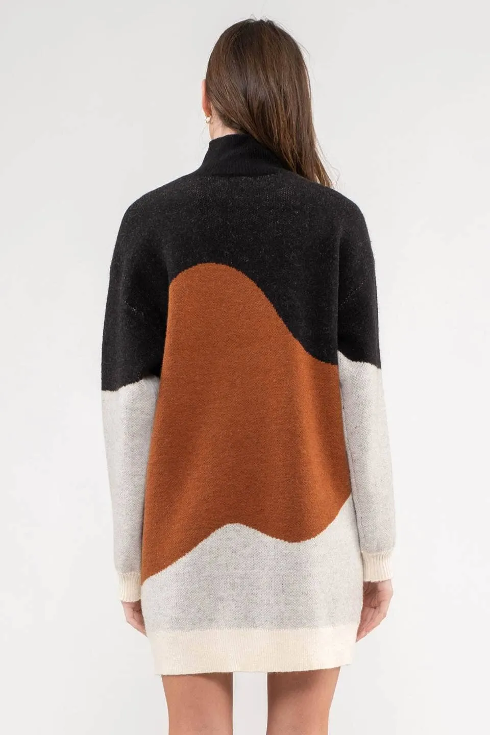 Blu Pepper Colorblock Sweater Dress