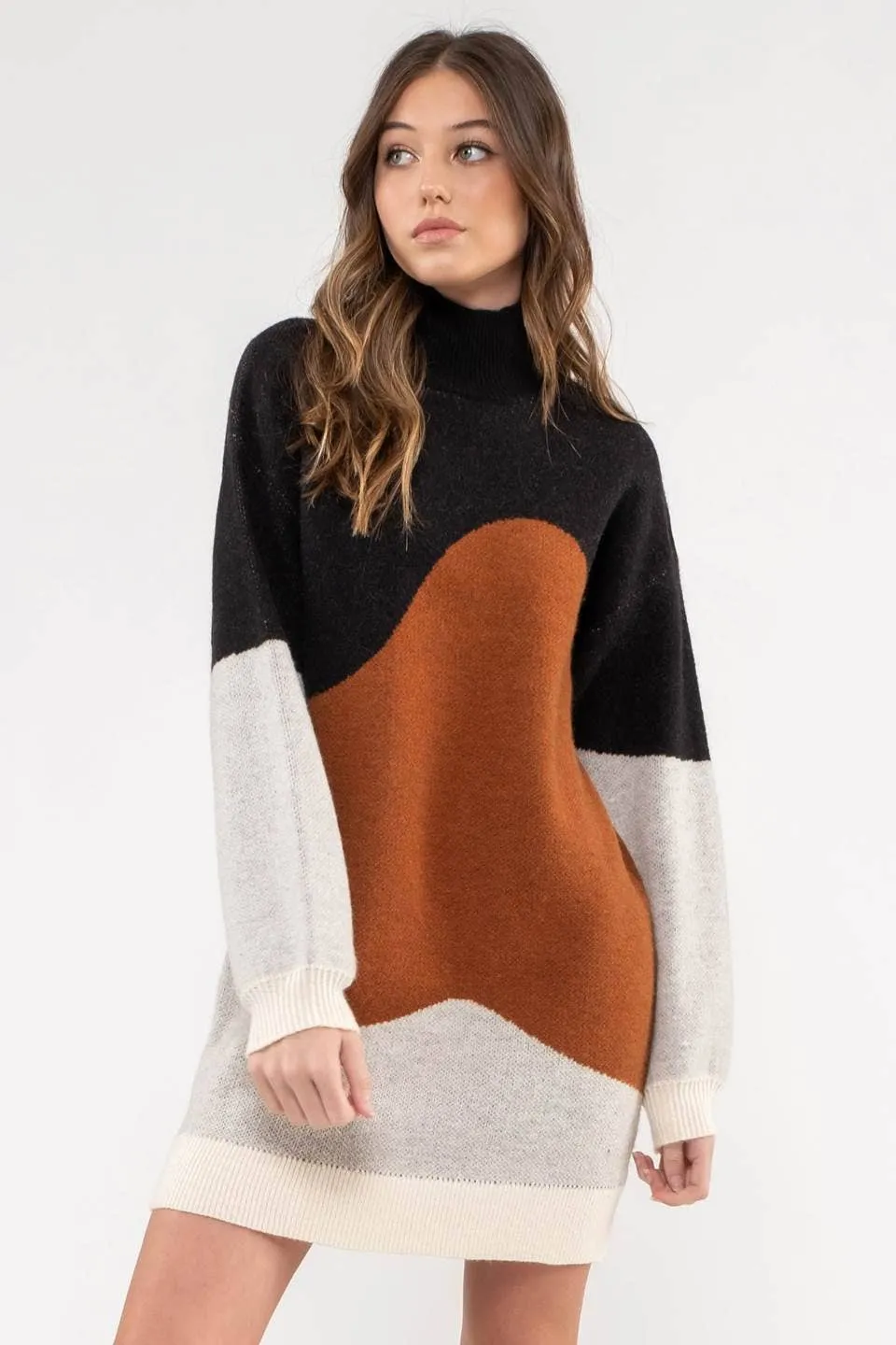 Blu Pepper Colorblock Sweater Dress