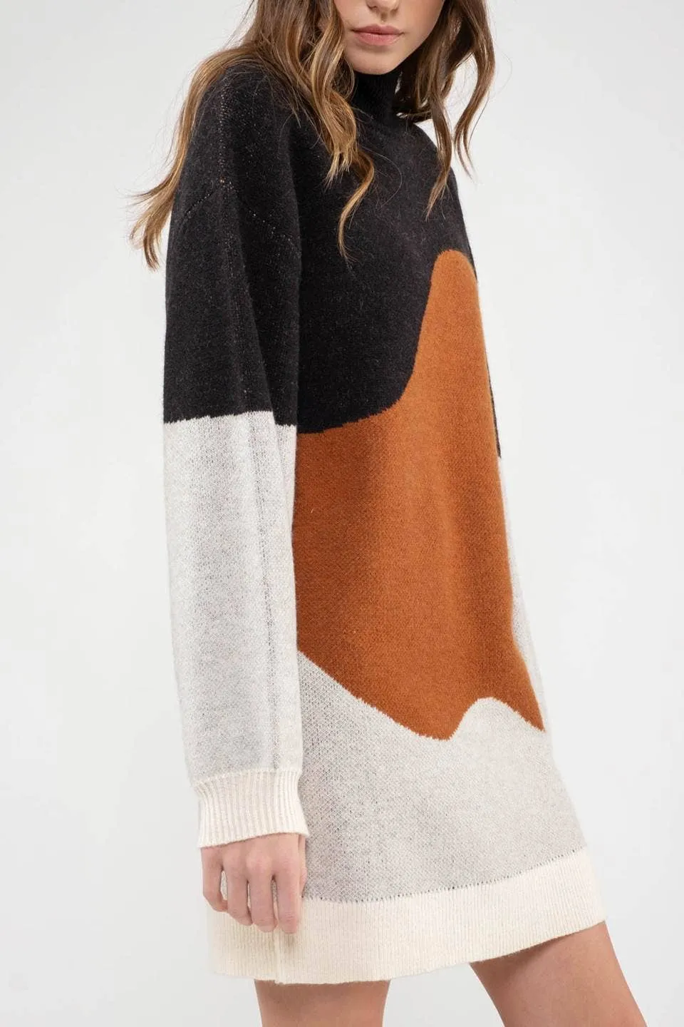 Blu Pepper Colorblock Sweater Dress