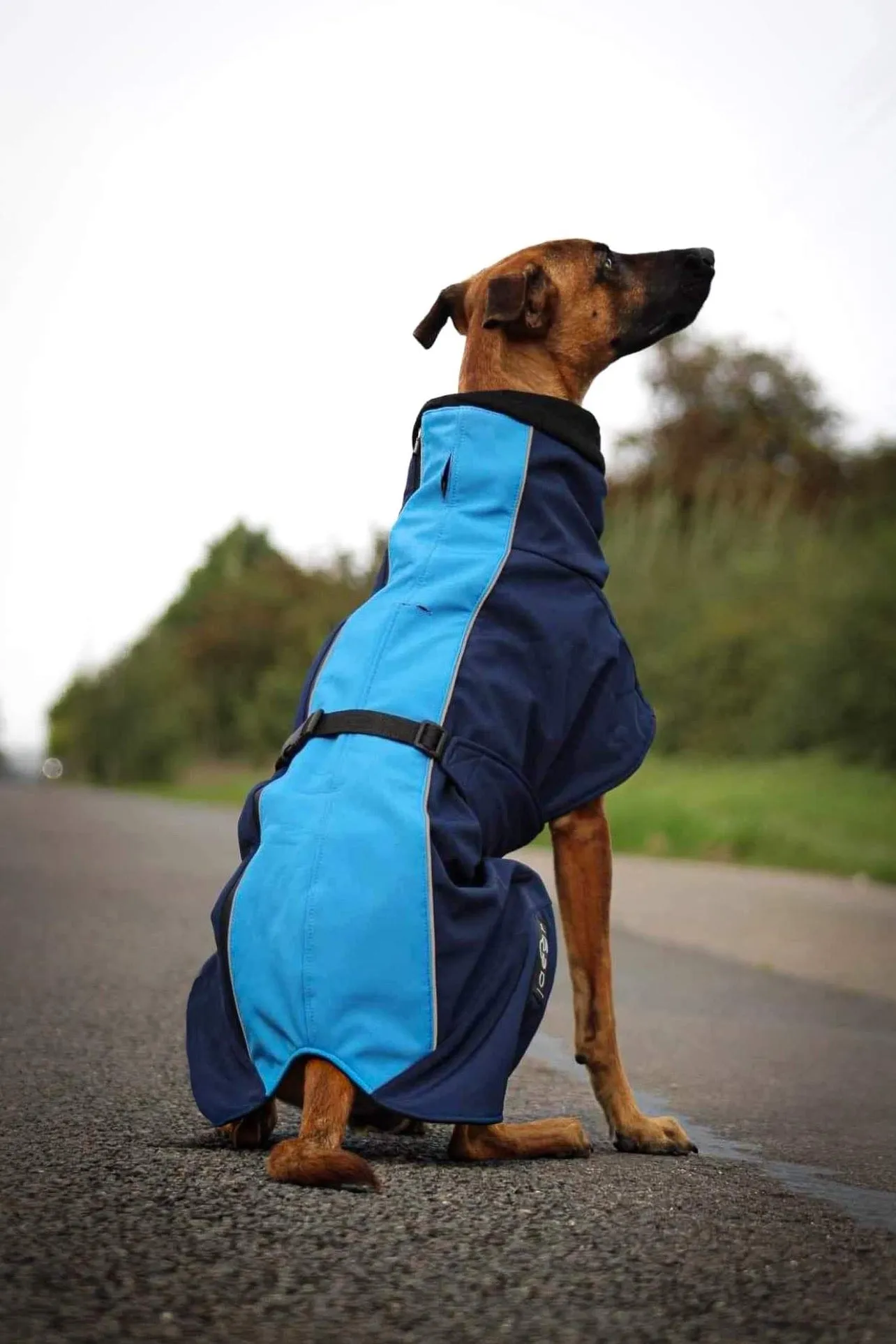 Jaegr Supreme Coat - Highlighter Range