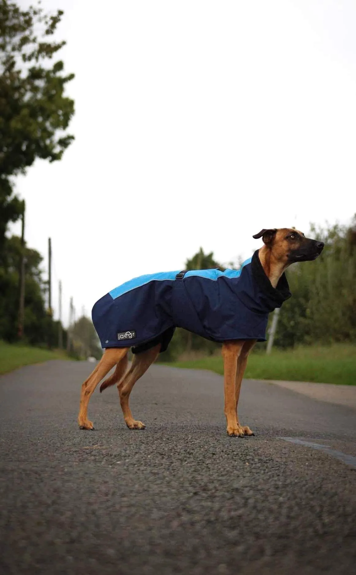 Jaegr Supreme Coat - Highlighter Range