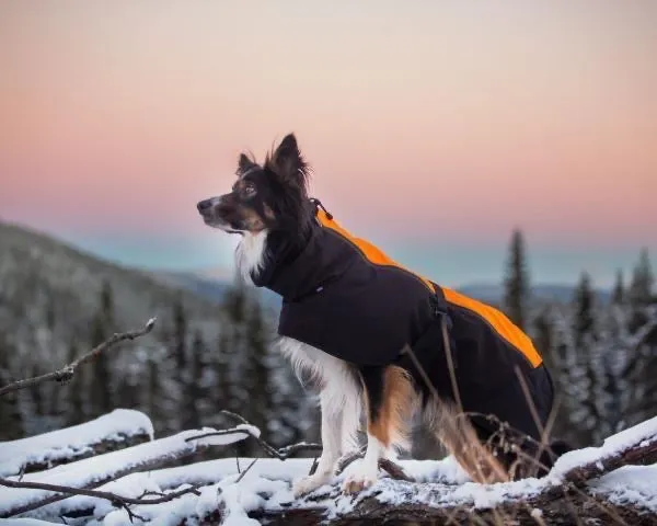 Jaegr Supreme Coat - Highlighter Range