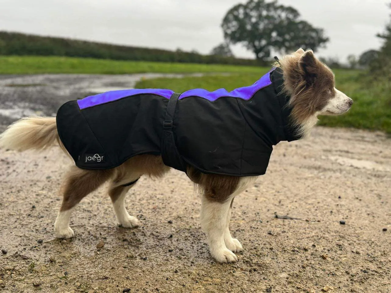 Jaegr Supreme Coat - Highlighter Range