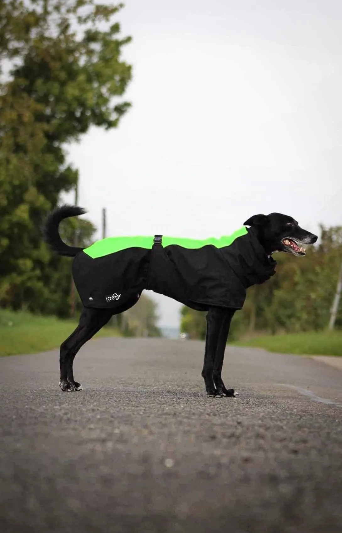 Jaegr Supreme Coat - Highlighter Range