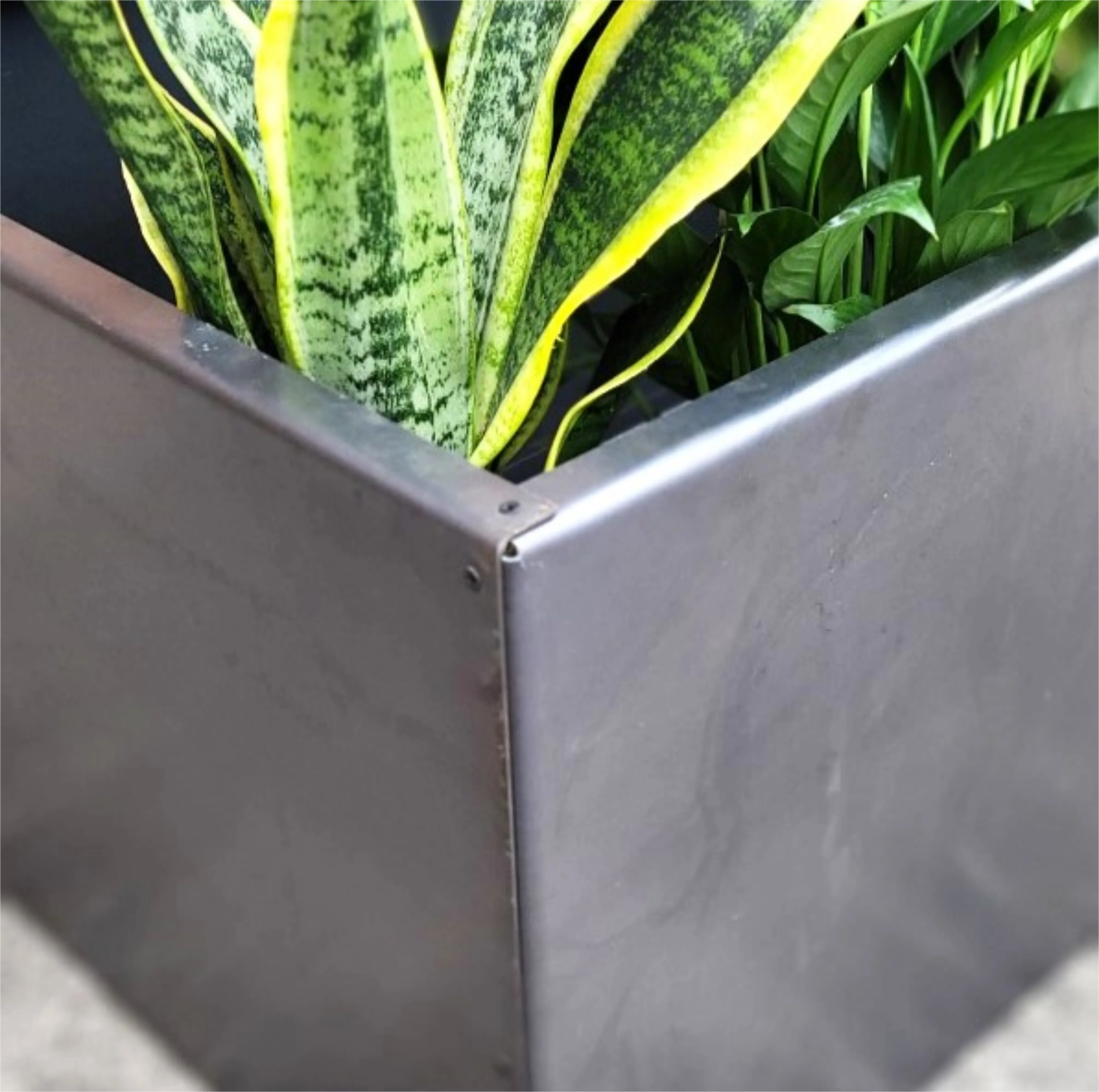 Metal Trough Planter - 48" x 24" x 18" Giant Rectangular Planter - Perennial Planter Pot - Raw Steel Will Develop Natural Rust Patina - Minimalist