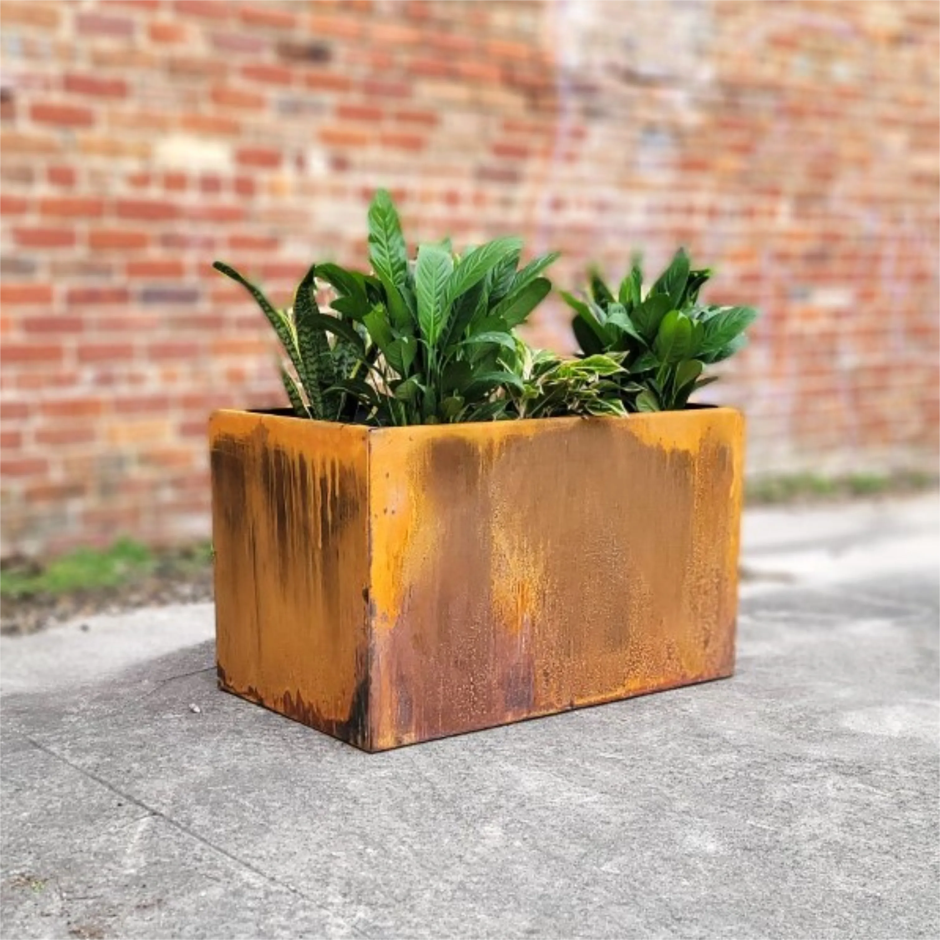 Metal Trough Planter - Extra Large Rectangular Planter - Perennial Planter Pot - Raw Steel Will Develop Natural Rust Patina - Minimalist