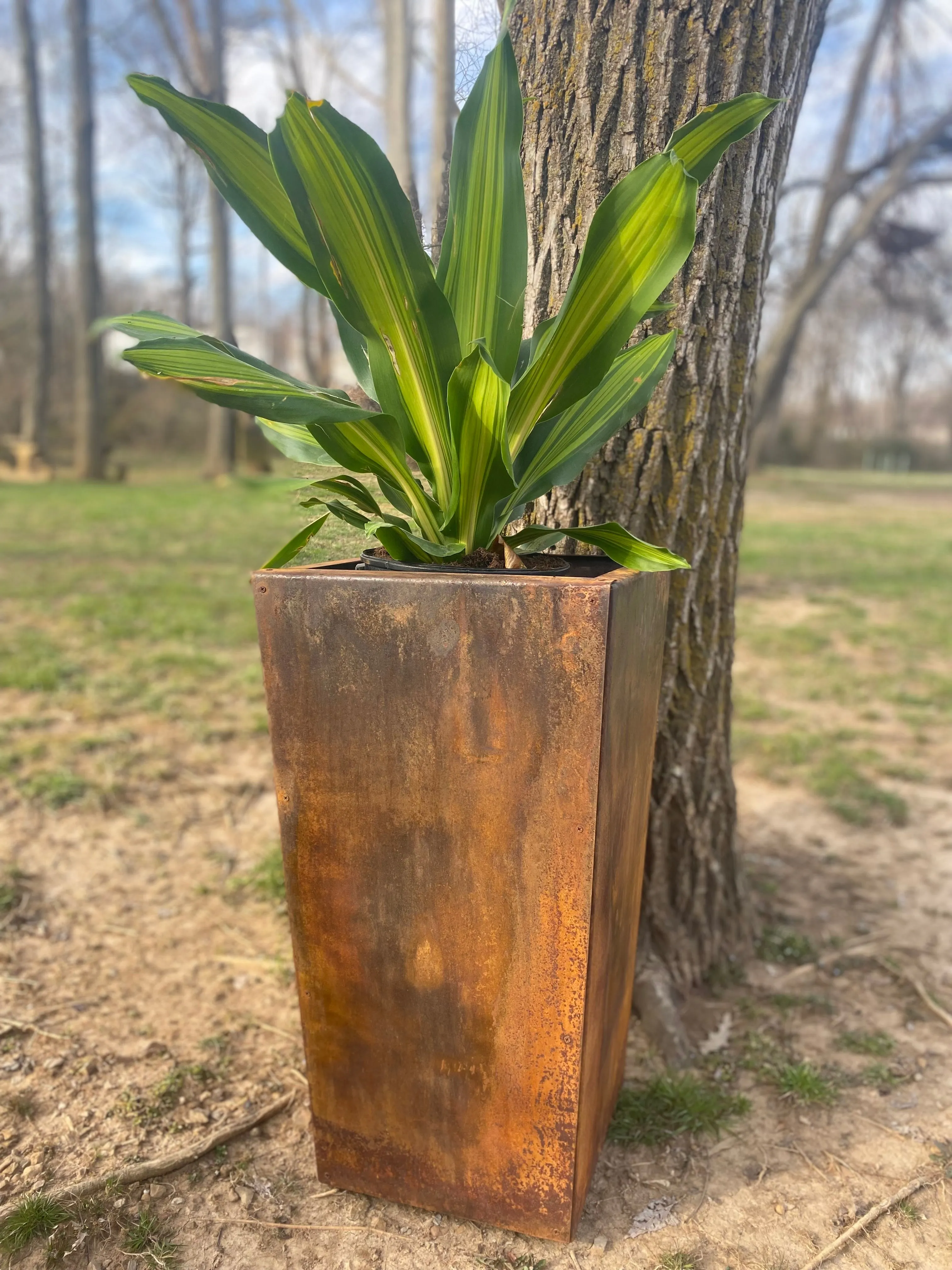 Pedestal Metal Planter - 14" x 14" x 26" Tall Large Planter - Front Door Decor - Planter Pot - Raw Steel Will Develop Natural Rusty Patina - Minimalist