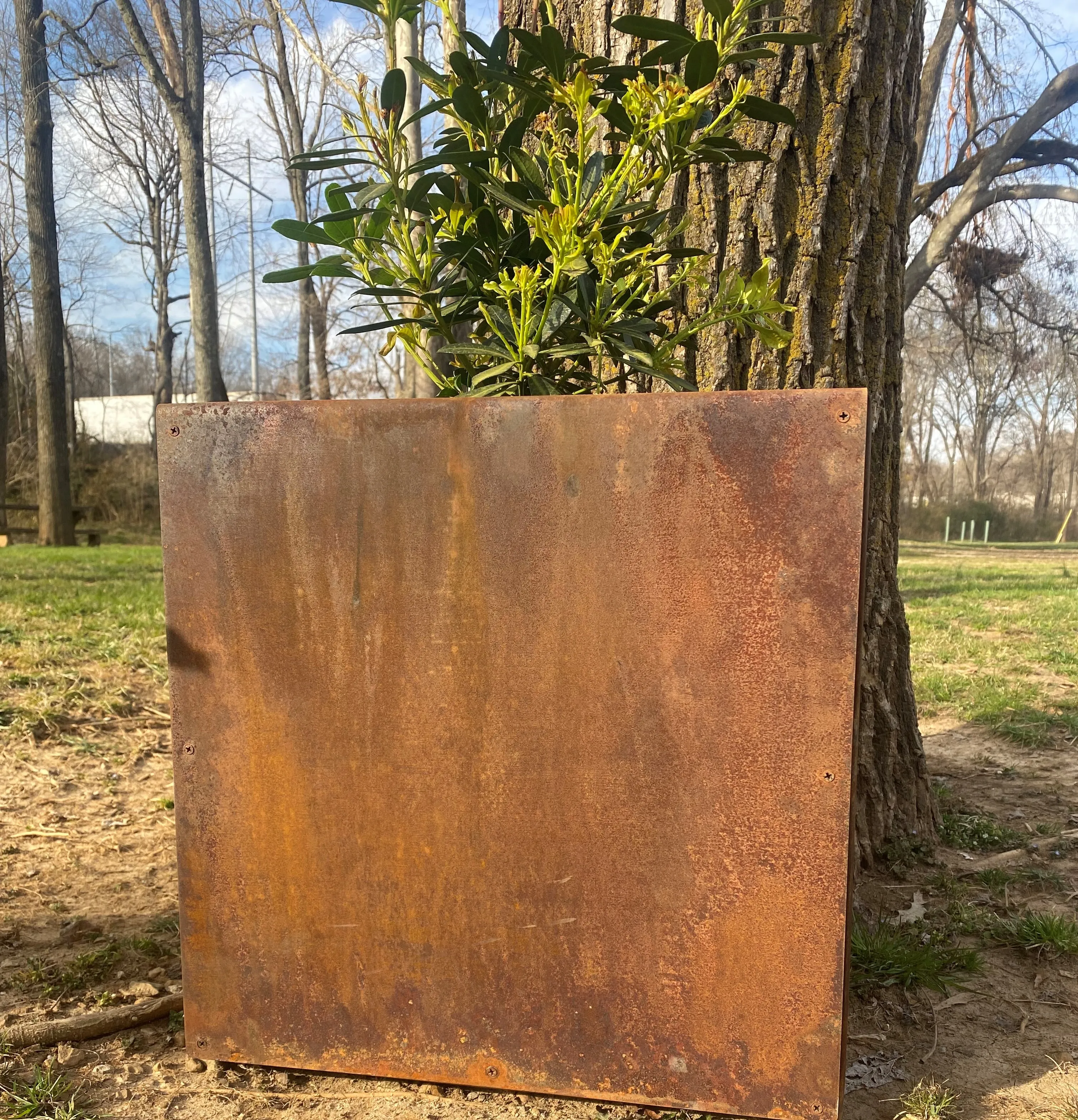 Square Metal Planter - 10" x 10" ,16" x 16" or 22" x 22" Large Planter - Planter Pot - Raw Steel Will Develop Natural Rusty Patina - Minimalist