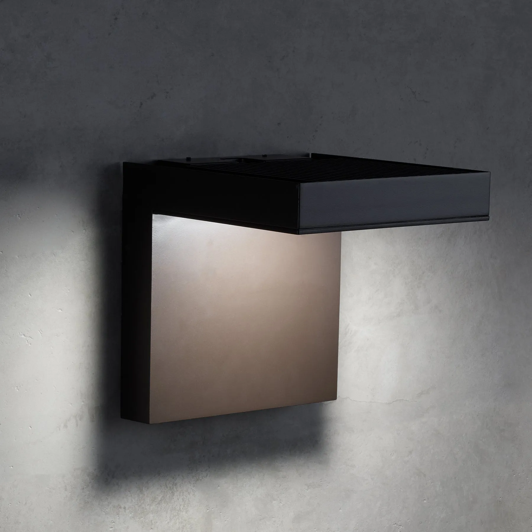 Taag 10 Outdoor Wall Light